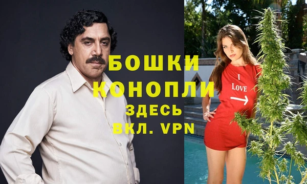 гидра Балахна