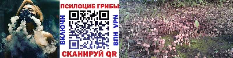 купить наркотик  Новоуральск  МЕГА вход  Галлюциногенные грибы Magic Shrooms 